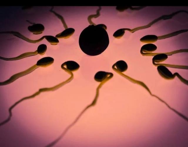 When a Woman is Ovulating?