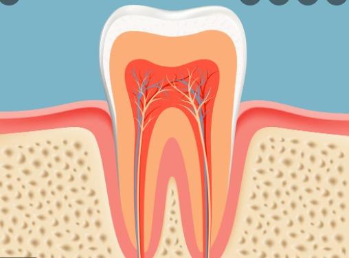 Waarom hebben Australische herders geen staarten? 