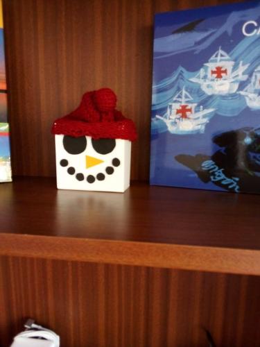 Ornaments with recycling