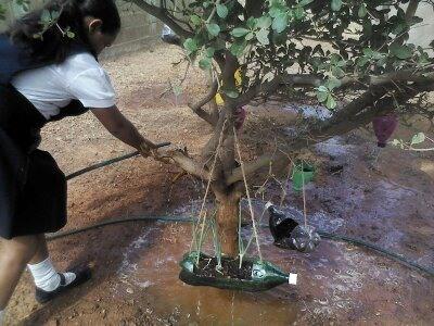 My students, my children