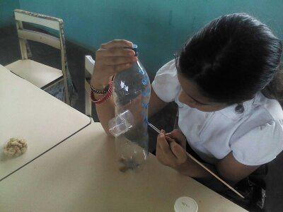 My students, my children