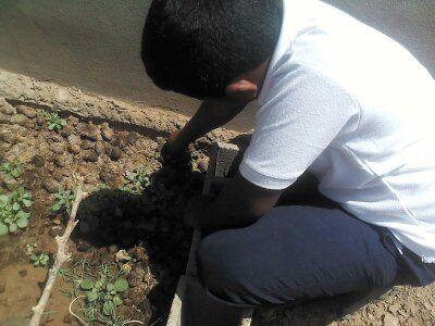 My students, my children