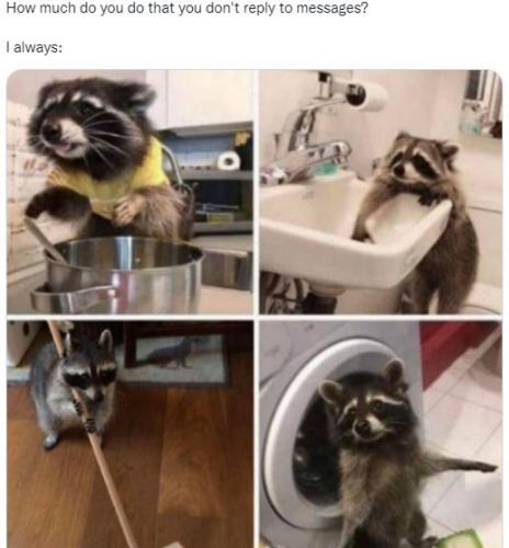 My first Meme of the Year