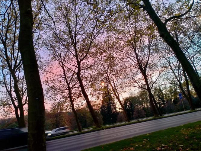 Does Autumn bring sadness or happiness?