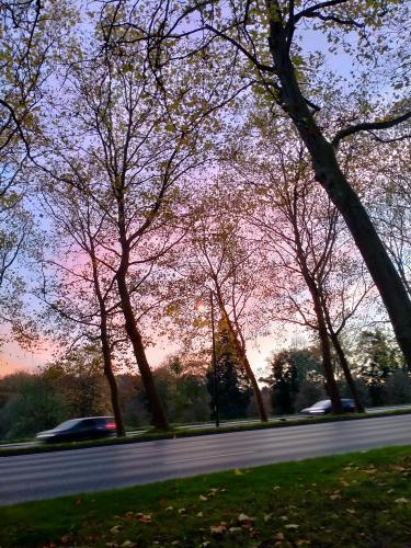 Does Autumn bring sadness or happiness?