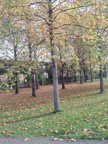 Does Autumn bring sadness or happiness?