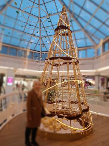 Have christmas decorations started in your area or city?