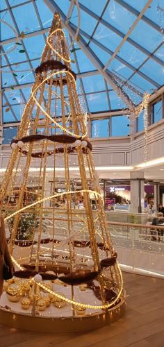 Have christmas decorations started in your area or city?