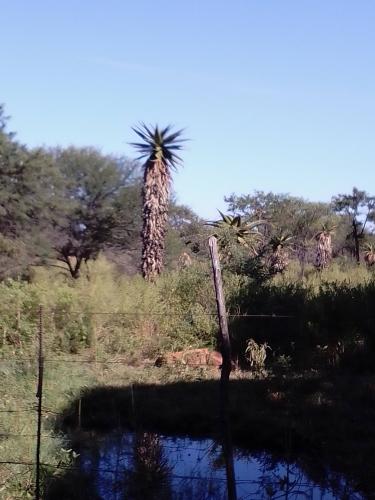 A Giant of a different kind