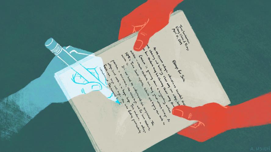 The importance of Professional Proofreading  