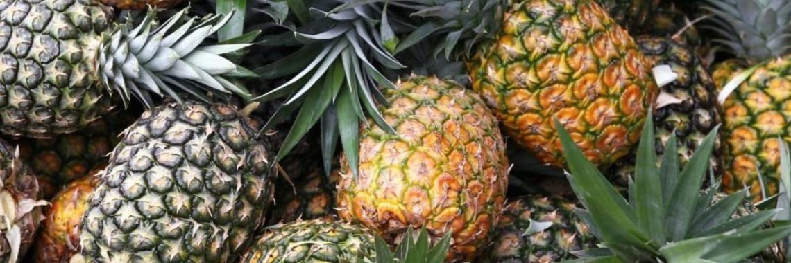 How Long Does It Take to Grow a Pineapple?