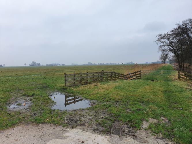 Een natuurbegraafplaats...