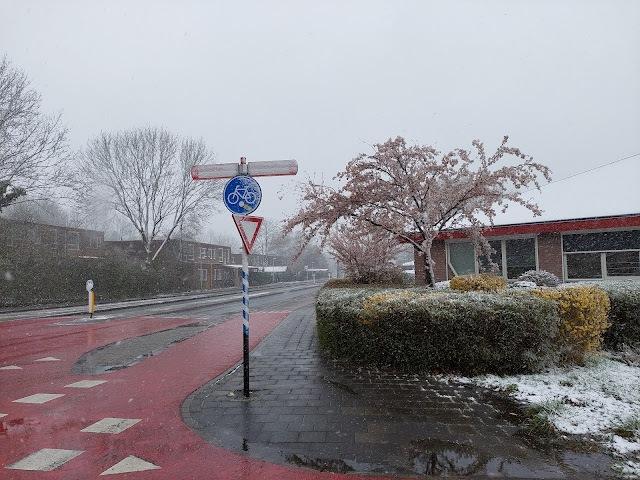 The white quarter...