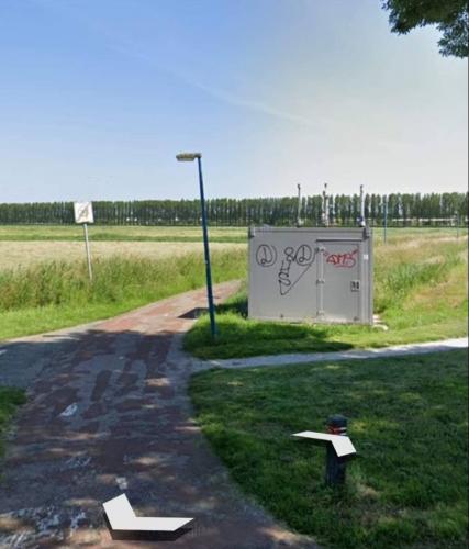 Baby zwaantjes doodrijden...