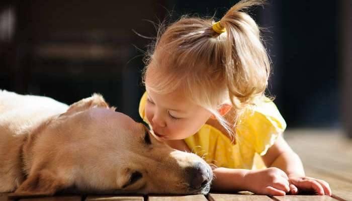 Why do dogs live less than people?