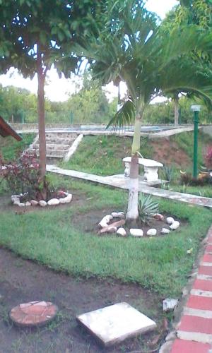 Rocks adorn a garden 
