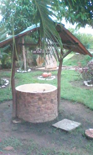 Rocks adorn a garden 