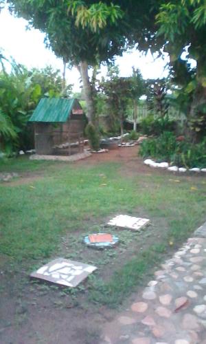 Rocks adorn a garden 