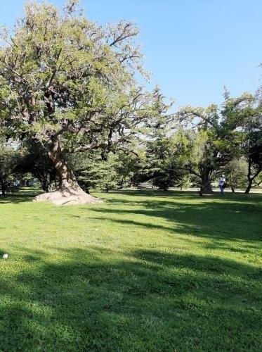 Disfrutar de la naturaleza