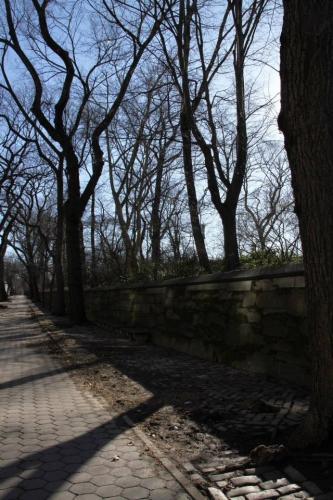 Tipico de las películas