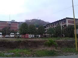 La universidad de la selva.