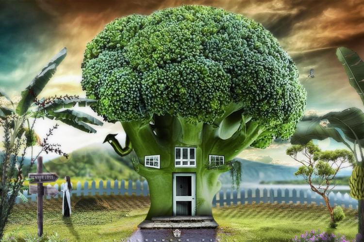 Adobe © Photoshop® Manipulation-Fantasy