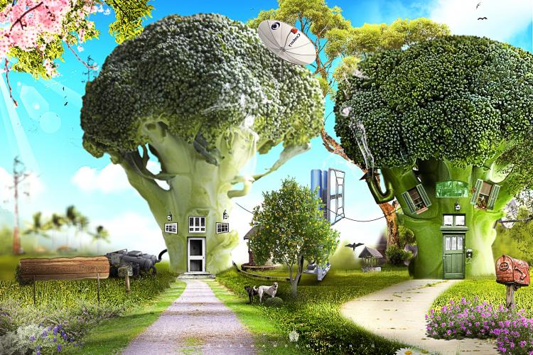 Adobe © Photoshop® Manipulation-Fantasy