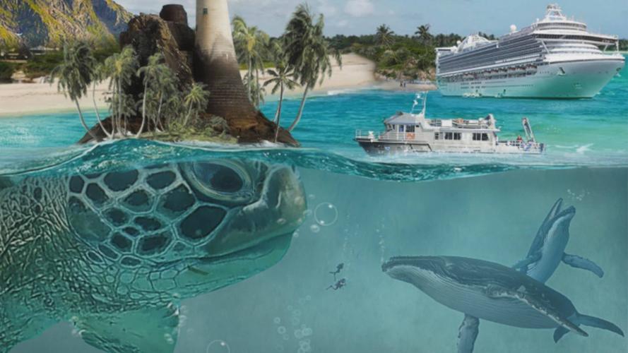 Photoshop Surreal &amp; Fantasy Manipulation -Big Turtle 