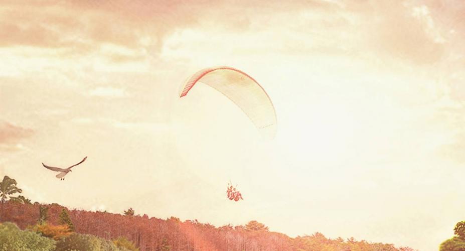 Photoshop Surreal &amp; Fantasy Manipulation -Big Turtle 