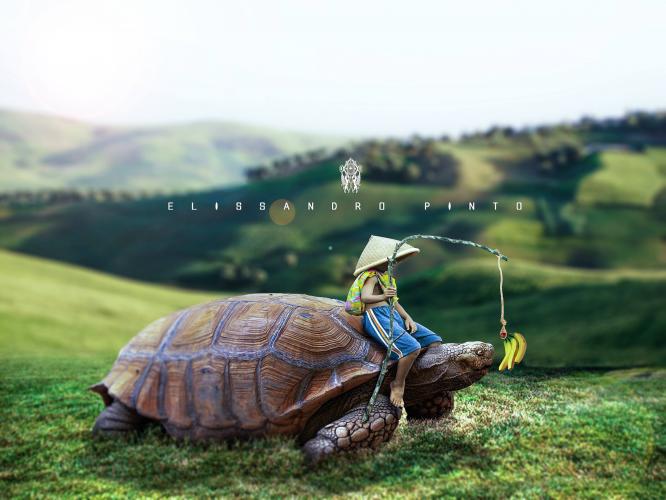 Photoshop Surreal &amp; Fantasy Manipulation -Big Turtle 