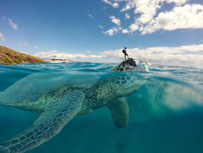 Photoshop Surreal &amp; Fantasy Manipulation -Big Turtle 