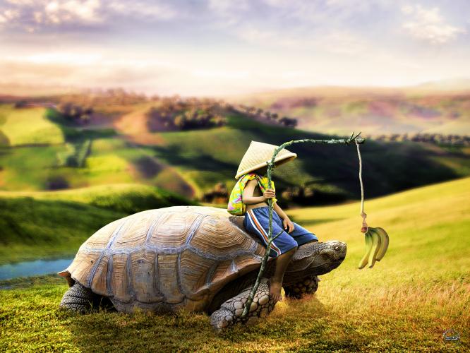 Photoshop Surreal &amp; Fantasy Manipulation -Big Turtle 