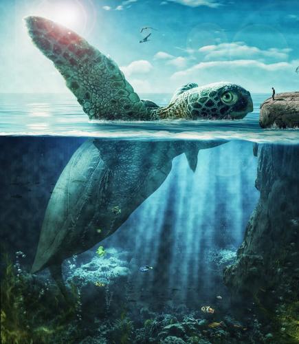 Photoshop Surreal &amp; Fantasy Manipulation -Big Turtle 