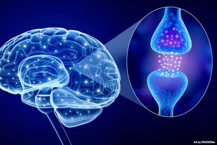 Wat gebeurt er met onze hersenen als we slapen?