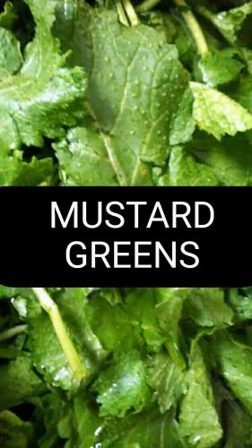 Is Sarson Ka Saag Healthy? (Cooked Mustard Greens)