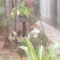 My mischievous kitten.