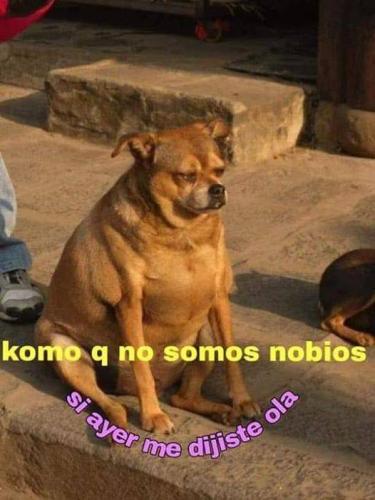 Cuando me dicen que me ilusiono rapido.