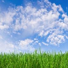 Assured Pool &amp; Spa Service