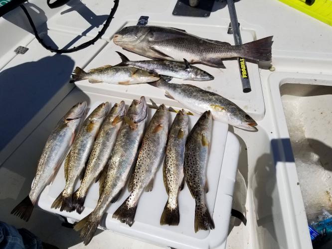 Tides Turn Fishing Charters