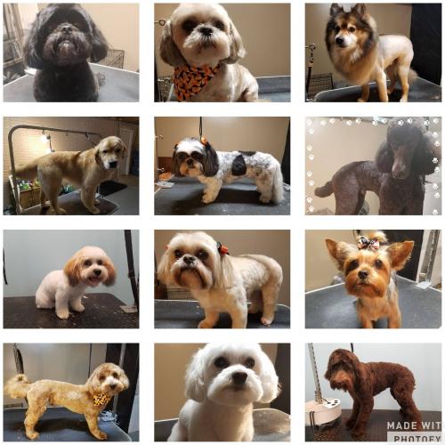 Shawnee Hills Verzorging voor huisdieren