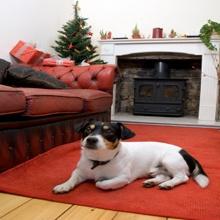 Posh Paws Grooming &amp; Pet Spa LLC