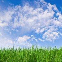 Custom Cleaning of the Treasure Coast, Inc.