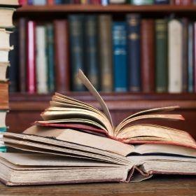 Royal Palm Montessori Academy