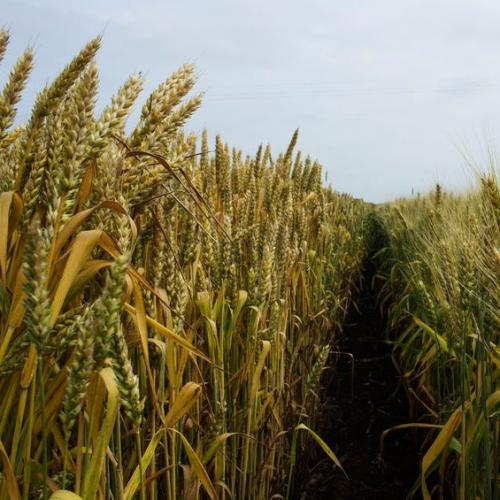 N &amp; R Feed And Supply