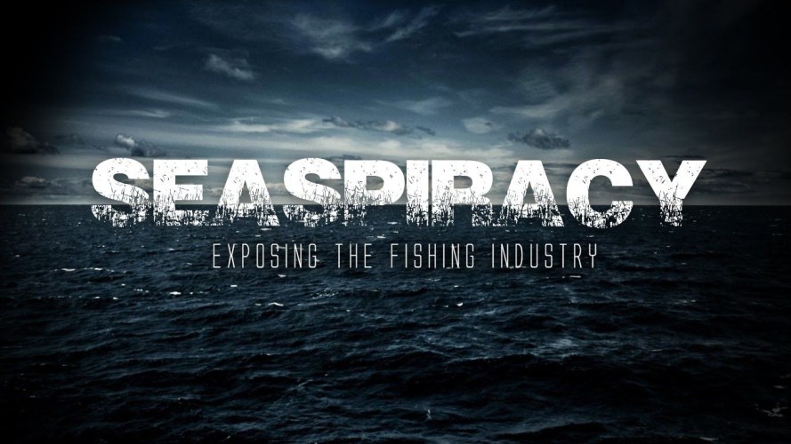 Seaspiracy: A shocking look at industrial fishing