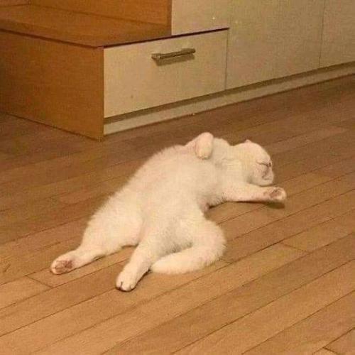 Mi amorcito dormido.