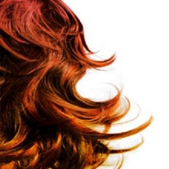 International Beauty School