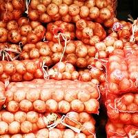 Davis Feed &amp; Farm Supply