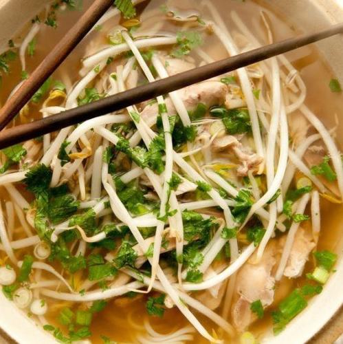 Shogun Hibachi Asian Cuisine