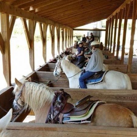 Cedar Creek Stables
